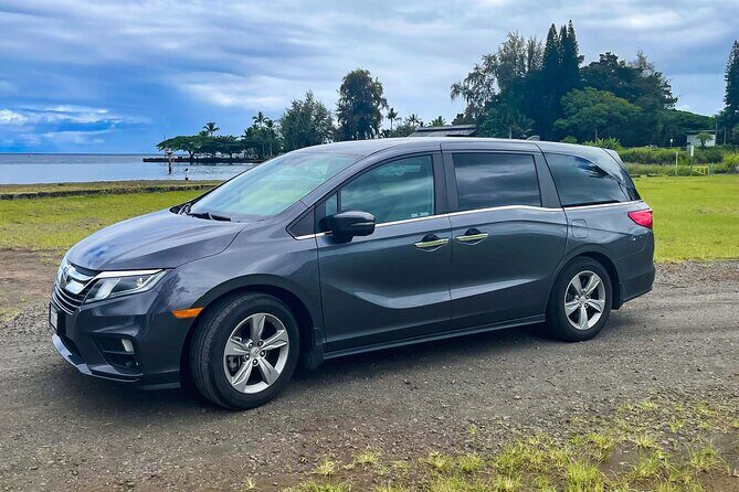 Private Custom Van Full-Day Guided Tour on Big Island of Hawaii - A Complete Dive into the Tour Experience