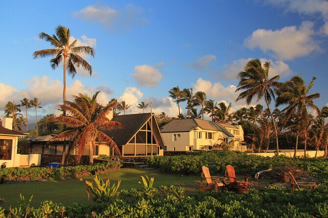 Private Custom Walking Tour with a Local Guide in Oahu - The Sum Up