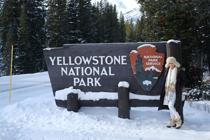 Private, Custom Yellowstone Wildlife Tours & Photo Safaris - The Practical Side: Transportation, Timing, and Cost