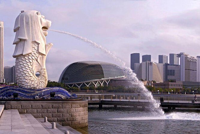 Private Customised Shore Excursion in Singapore By Car - Who Should Book This Tour?