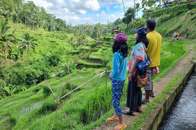 Private Customizable Bali Tour Visit with Transfer Included - Why Choose a Private, Customizable Bali Tour?