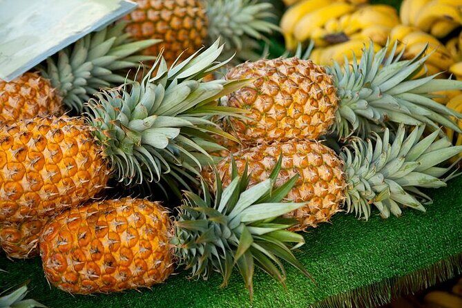 Private Customizable Grand Circle Island Tour on Oahu - Who Should Consider This Tour?