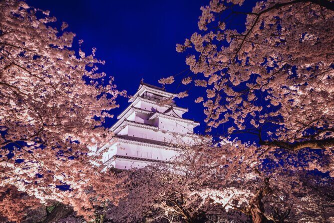 Private Customizable Tour in Tokyo - Final Thoughts