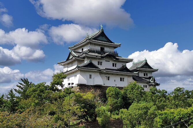 Private Customizable Tour in Wakayama - An In-Depth Look at What to Expect from the Private Wakayama Tour