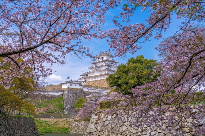 Private Customize Tour Himeji from Osaka - The Logistics and Timing