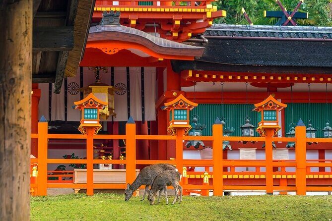Private Customized 3 Full Days Tour Package: Discover Kyoto, Arashiyama and Nara - Exploring the Itinerary in Detail