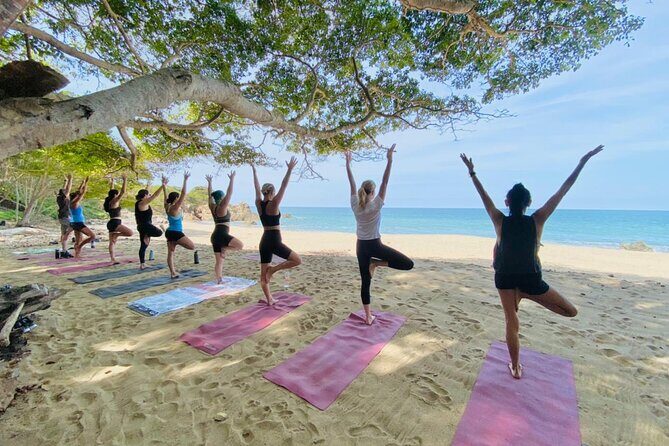 Private Customized Group Yoga Class with Wanderlust Sayulita - Why This Experience Excels
