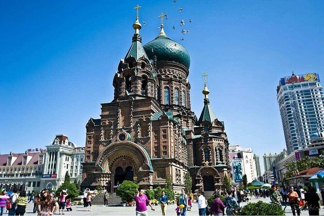 Private Customized Harbin City Day Tour by Public Transportation - Authentic Insights from Travelers