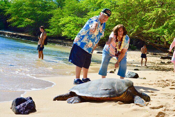 Private Customized Oahu Full Day Tour - FAQ