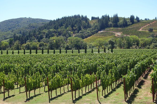 Private, Customized Sonoma Valley Wine Tour - The Sum Up