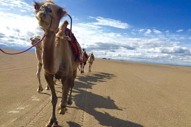 Private Customized the Silk Road Tour - Who Would Love This Tour?