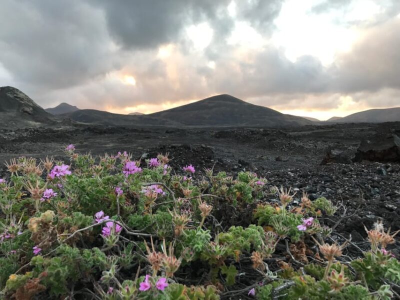 PRIVATE CUSTOMIZED TOUR OF LANZAROTE ISLAND - Key Points