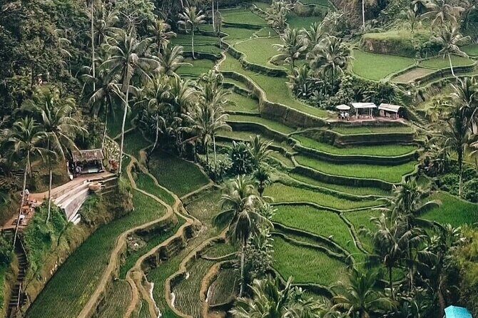 Private Customized Tour with Local Guide - Final Thoughts: Who Should Consider This Tour?