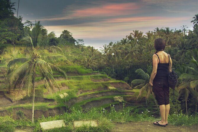 Private Customized Trip to Ubud - Who Is This Tour Best For?