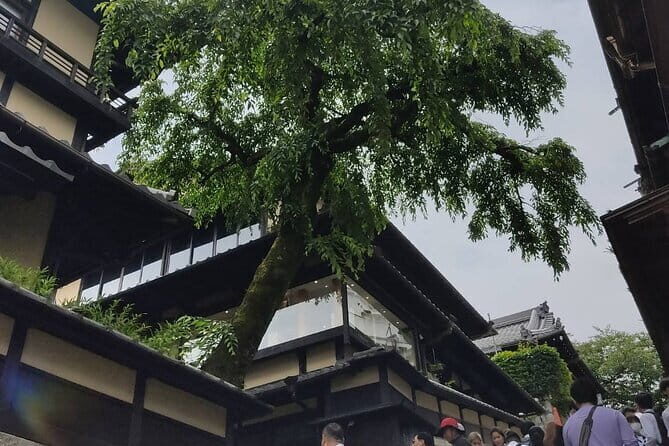 Private Customized Walking in Tour Kyoto - The Sum Up