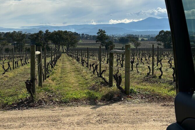 Private Customized Yarra Valley Wine Tour - The Sum Up: Is It Worth It?
