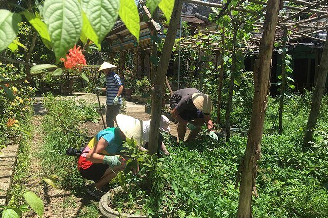Private Cycling Tour in Rural Hue with Farming Experience - Authenticity and Guides: The Heart of the Experience