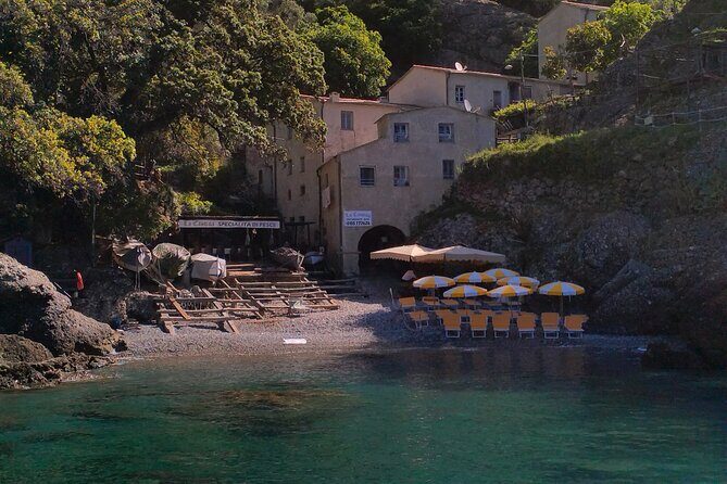 Private daily tour and charter boat from Portofino - Who Is This Tour Best For?
