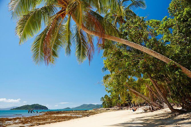 Private Daintree Wanderer Tour - An In-Depth Look at the Daintree Wanderer Tour