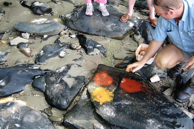 Private Daintree Wanderer Tour - Final Thoughts: Who Should Consider This Tour?