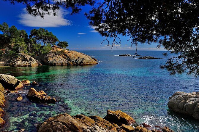 Private Dali Museum and Costa Brava Tour from Barcelona - Key Points