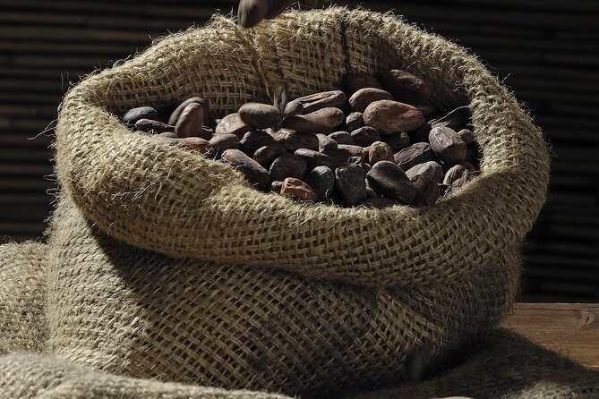 Private Dark Chocolate Tasting Tour in Paris - Key Points