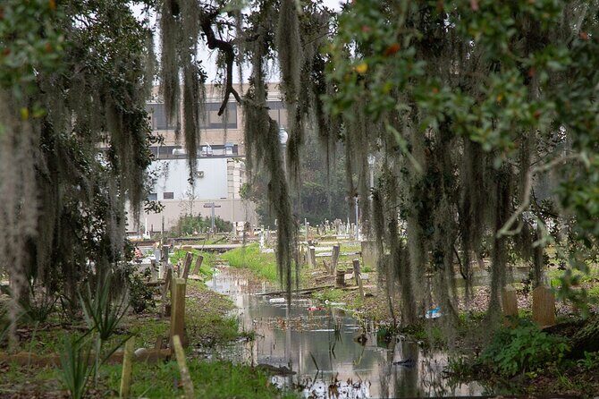 Private Darkside of New Orleans Tour: Spirits, Vampire and Voodoo - What You Can Expect from the Experience