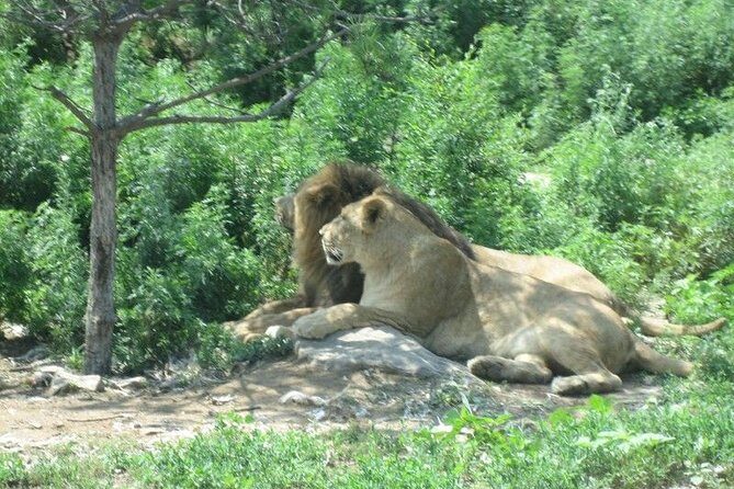 Private Day All-inclusive Tour to Longqingxia Gorge and Badaling Wildlife World - Who Should Consider This Tour?