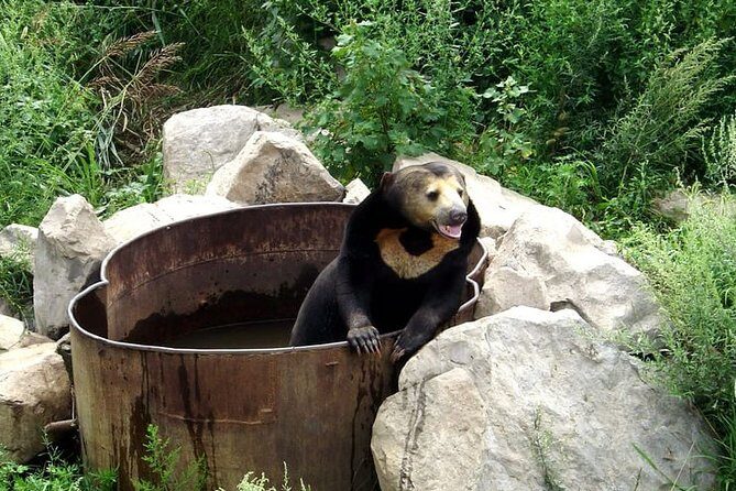 Private Day All-inclusive Tour to Longqingxia Gorge and Badaling Wildlife World - FAQ