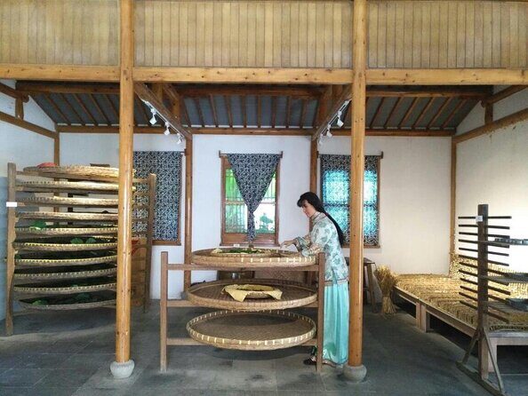 Private Day Excursion to Suzhou and ZhouZhuang Water Village from Shanghai - Exploring a Day in Suzhou and Zhouzhuang: An Honest Review