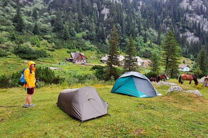Private day hike from Brasov to Malaiesti Cottage - Discovering the Charm of the Brasov to Malaiesti Cottage Hike
