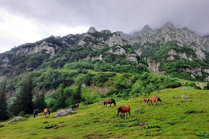 Private day hike from Brasov to Malaiesti Cottage - The Sum Up