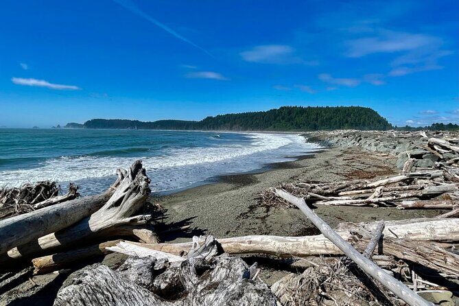 Private Day Hike in the Ozette Triangle - What to Expect from the Ozette Triangle Private Hike