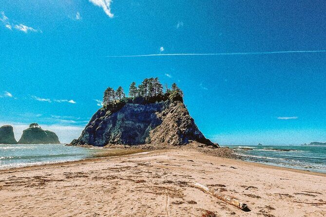 Private Day Hike in the Ozette Triangle - Deep Dive into the Itinerary