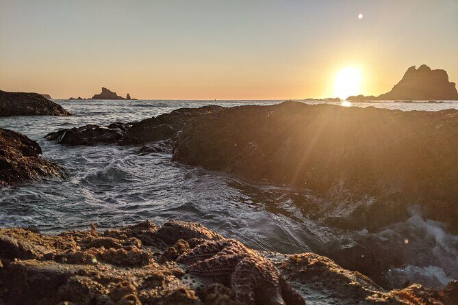 Private Day Hike- Rialto Beach Tide Pooling - FAQs