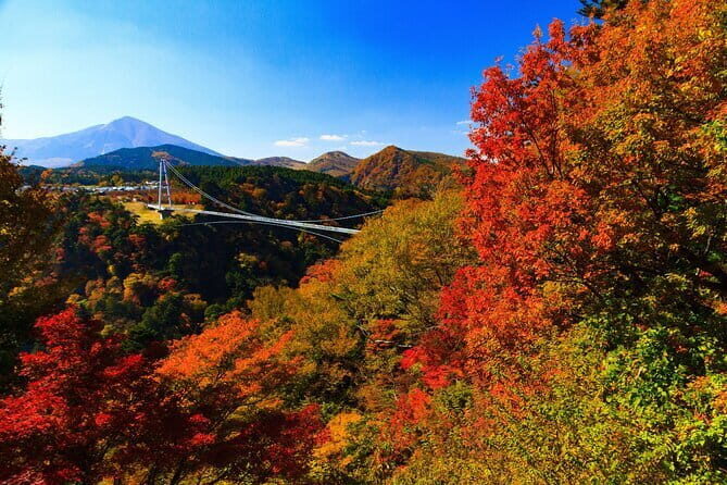 PRIVATE Day MiniBUS Tour to KOKONOE & YUFUIN, BEPPU from Fukuoka - Who’s This Tour Best For?