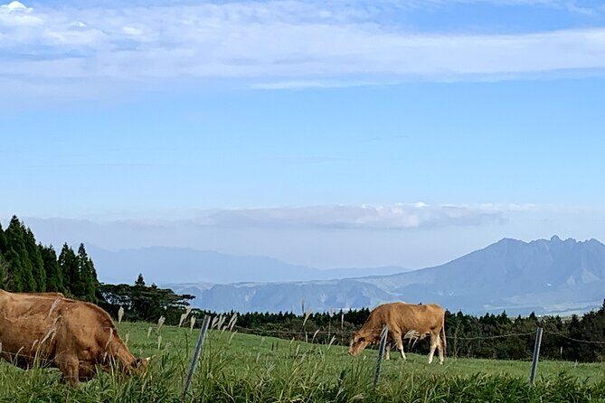 PRIVATE Day MiniBUS Tour to Mt.Aso & Kumamoto Castle from Fukuoka - Exploring Mount Aso: The Heart of Kyushu