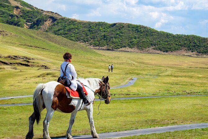 PRIVATE Day MiniBUS Tour to Mt.Aso & Kumamoto Castle from Fukuoka - Returning to Fukuoka: Winding Down the Day