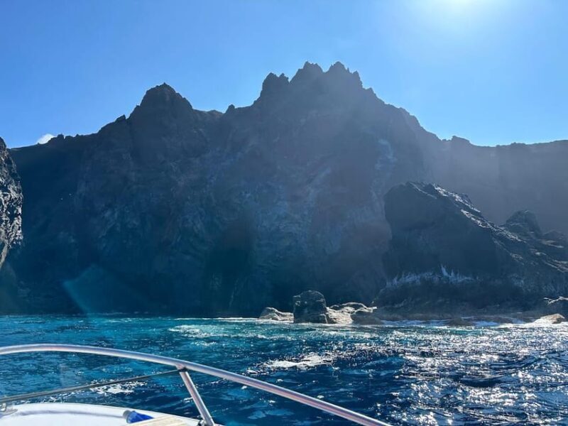 Private Day Seafari in the Azores follow Marine Biologist - Final Thoughts