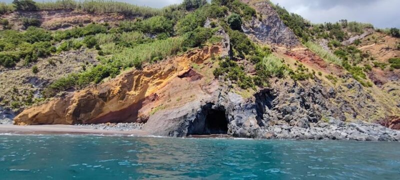 Private Day Seafari in the Azores follow Marine Biologist - FAQ