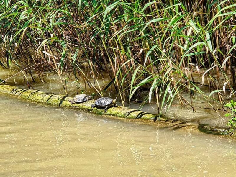 Private Day Tour: Aladzha, Varna, Pobiti Kamani, Kamchia - Key Points