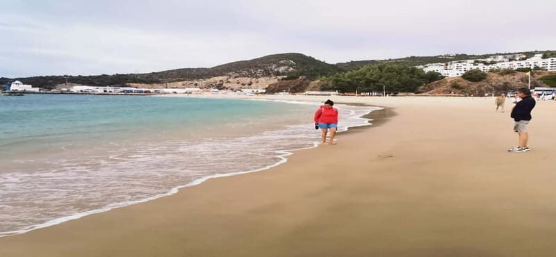 Private day tour Arrábida, Palmela Castle, tiles and Winery - Key Points