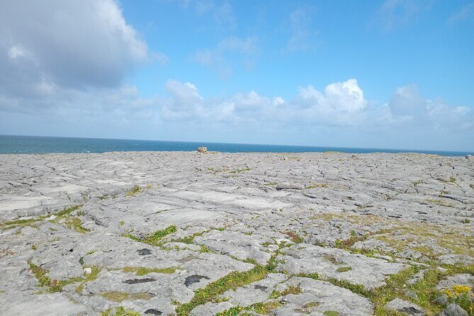 Private Day Tour Cliffs of Moher from Dublin - Who Is This Tour Best Suited For?