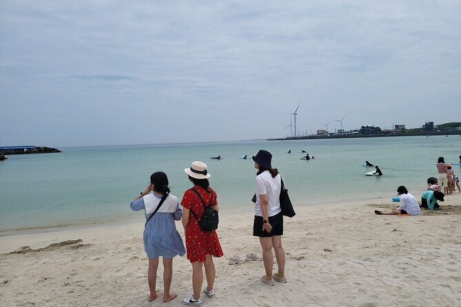 Private Day tour East & south & west of All area in jeju island - Key Points
