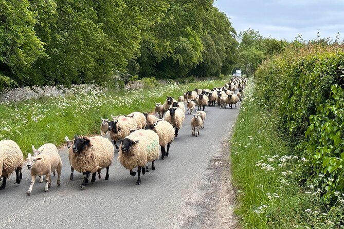 Private Day Tour from Bath to the Captivating Cotswolds - FAQs