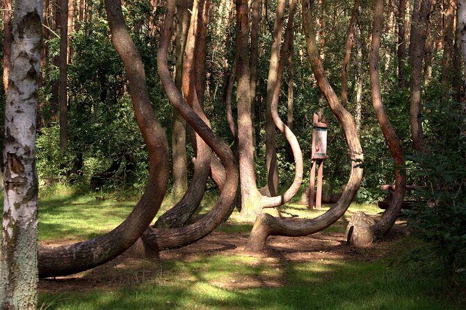 Private Day Tour from Berlin to Szczecin Poland - Is This Tour Worth It?