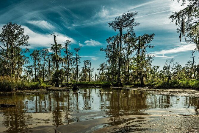Private Day Tour from New Orleans to the Bayou and Swamps - An In-Depth Look at the Tour Experience