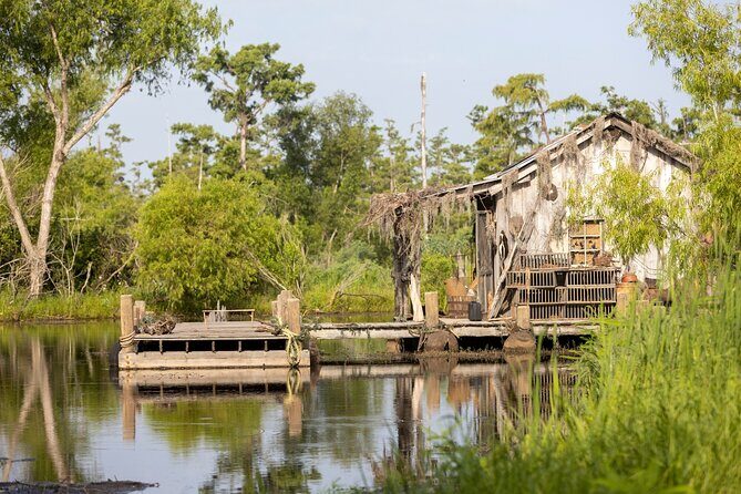 Private Day Tour from New Orleans to the Bayou and Swamps - What Makes This Tour Stand Out?