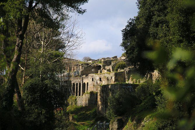 Private Day Tour from Rome to Pompeii and Herculaneum with Hotel Pick up - Who Is This Tour Best Suited For?