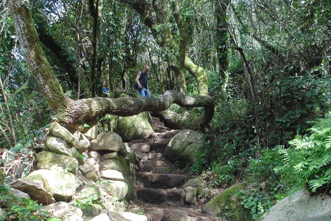 Private Day Tour from the Centre to the Highest Point in Sintra. - Authentic Insights from Past Travelers